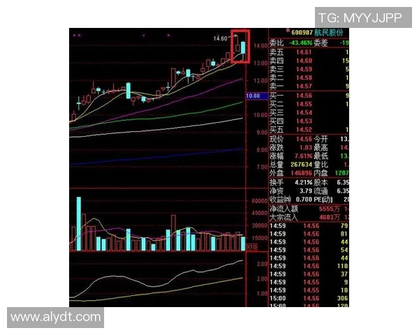 广州篮球队在大师赛中的团队协作表现分析与启示