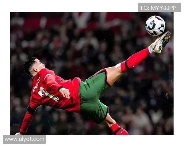 沈阳足球之星汇聚一堂揭秘沈阳籍足球明星的辉煌成就与传奇故事