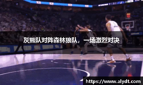 灰熊队对阵森林狼队，一场激烈对决