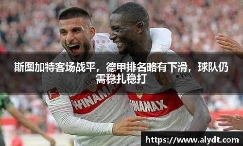 bsports官网入口