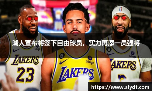 B体育bsports