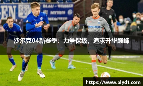 bsports官网入口