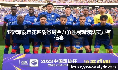 bsports官网入口