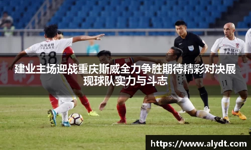 bsports官网入口