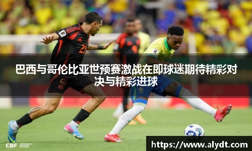 B体育bsports