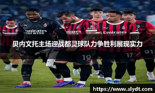 bsports官网入口
