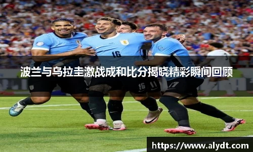 B体育官网
