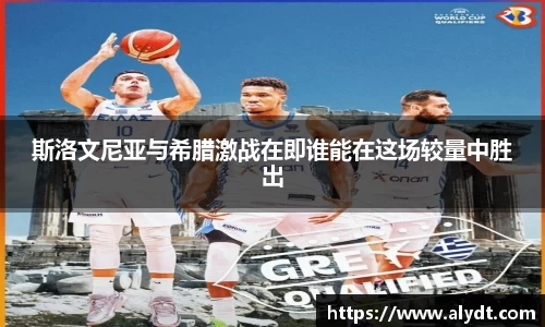 B体育bsports