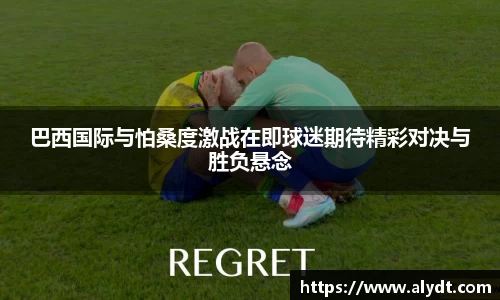 bsports官网入口