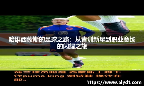 bsports官网