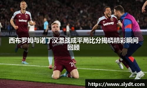 西布罗姆与诺丁汉激战成平局比分揭晓精彩瞬间回顾