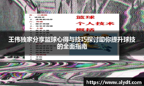 B体育官网