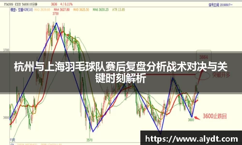 杭州与上海羽毛球队赛后复盘分析战术对决与关键时刻解析