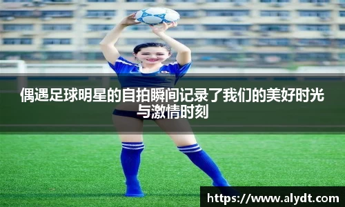 bsports官网入口