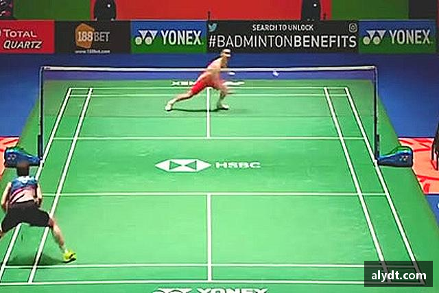 知道B体育官网
